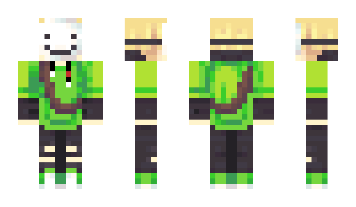 BruderAiden11 Minecraft Skin