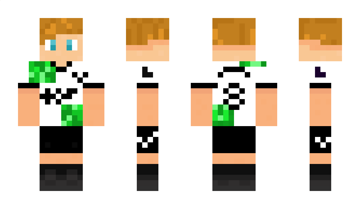 Lionventu09 Minecraft Skin