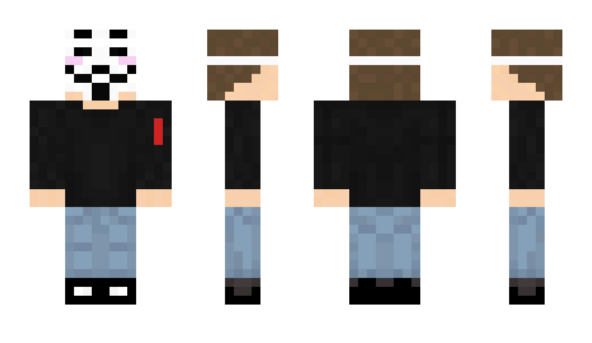 DudeZ_ Minecraft Skin