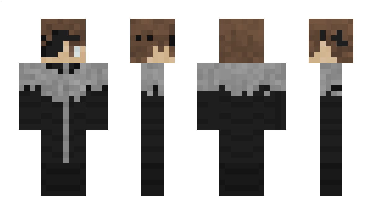 panthersfanman1 Minecraft Skin