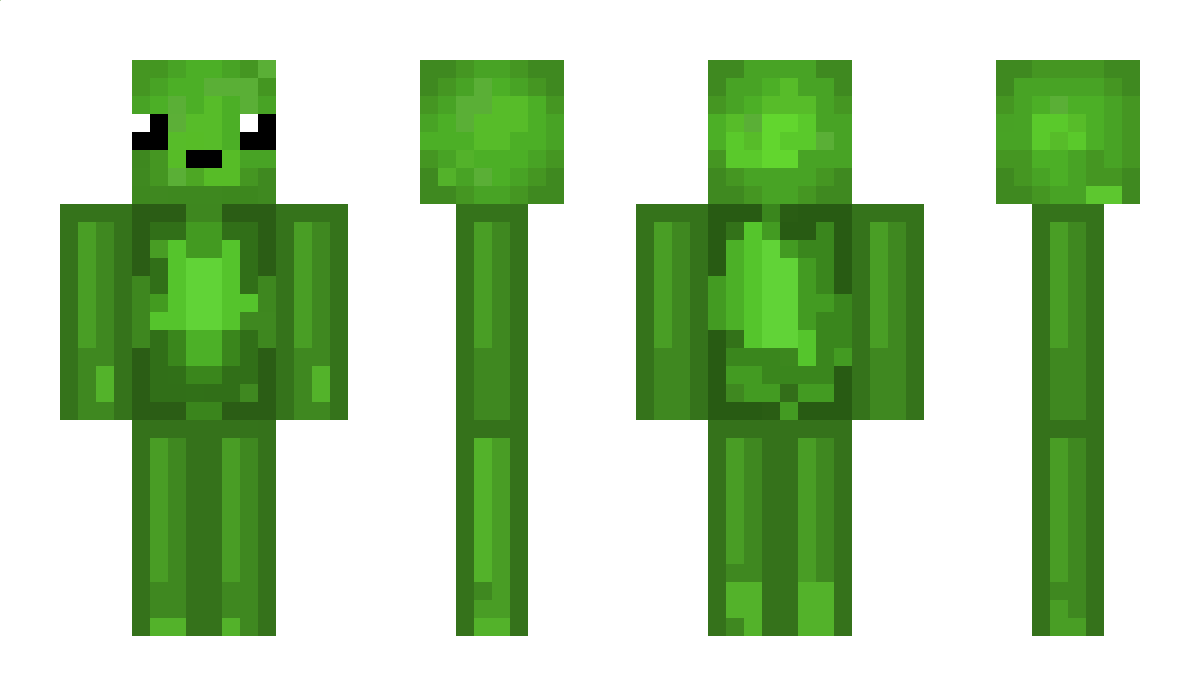 Lauchilli Minecraft Skin