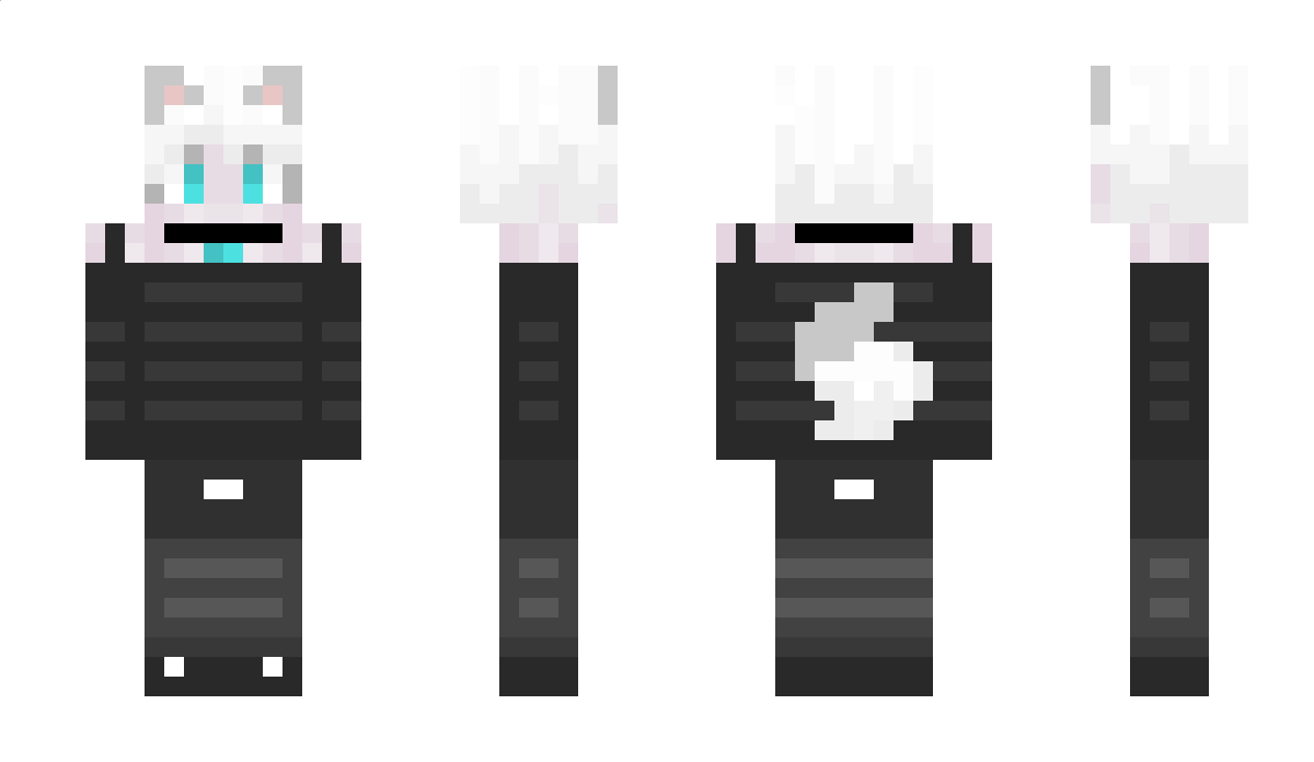 NovaSlicers Minecraft Skin