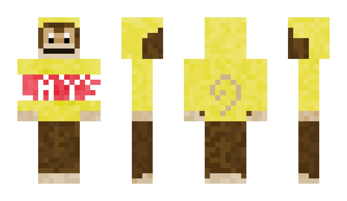 Blazenguin Minecraft Skin