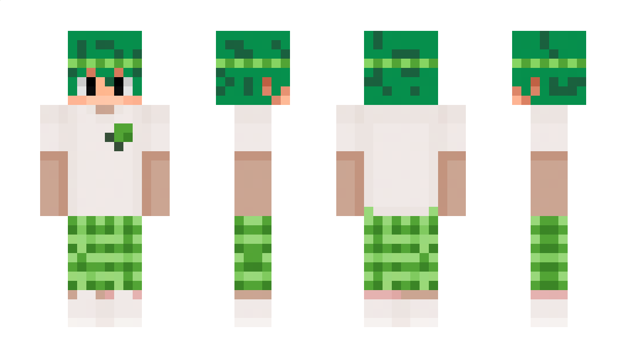 Duuzim Minecraft Skin