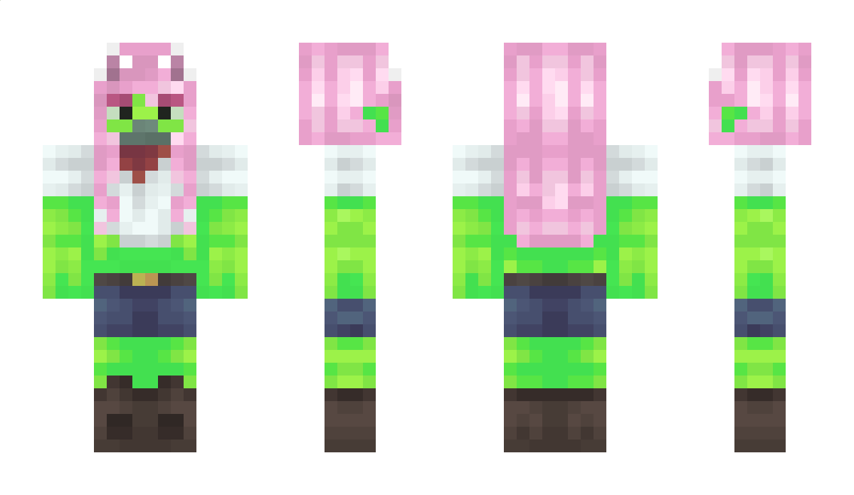 pholi Minecraft Skin