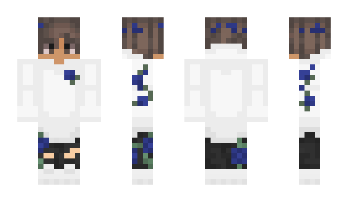 pjdqm Minecraft Skin