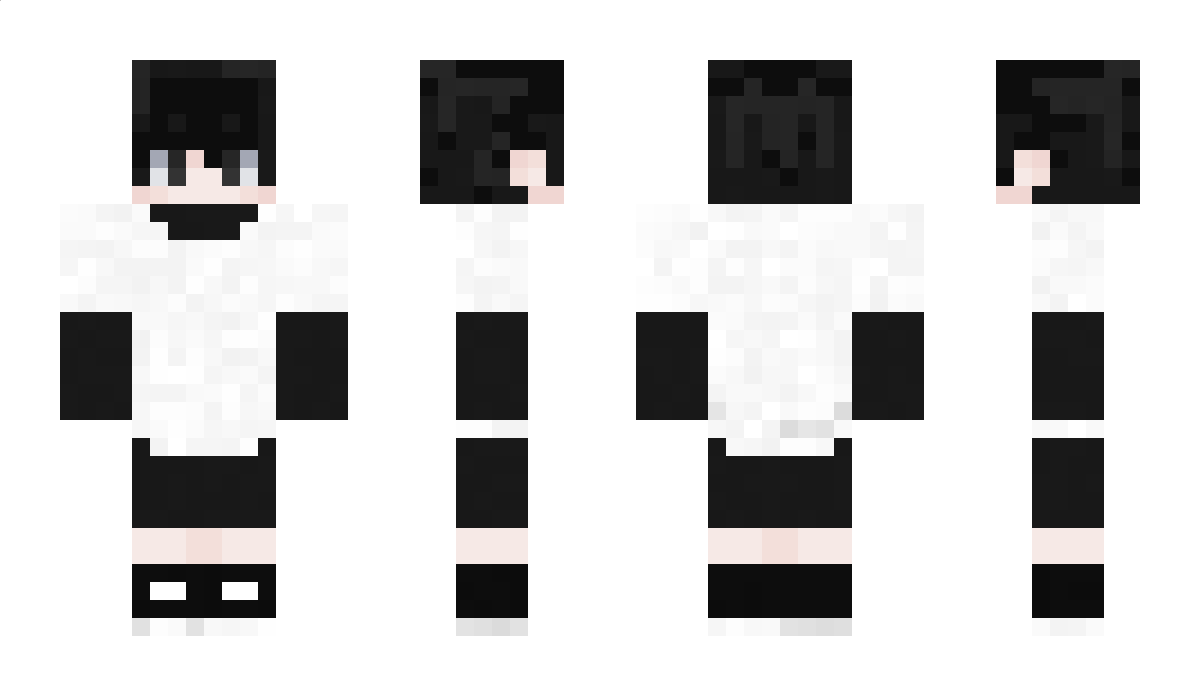 6351King Minecraft Skin