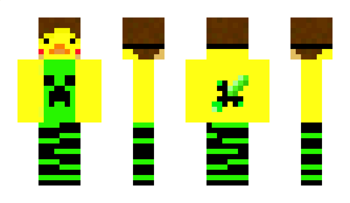 kaczorDONUT8575 Minecraft Skin