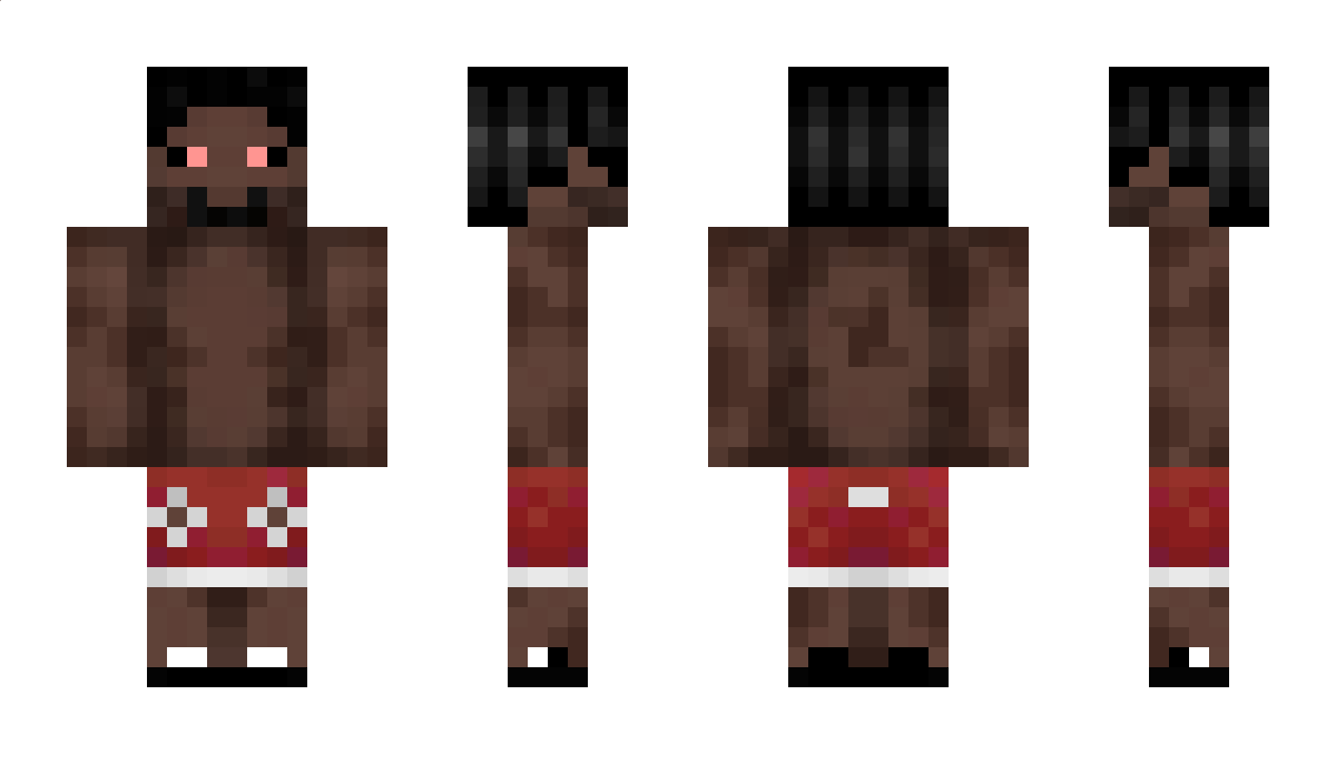 SkyF0x01_ Minecraft Skin