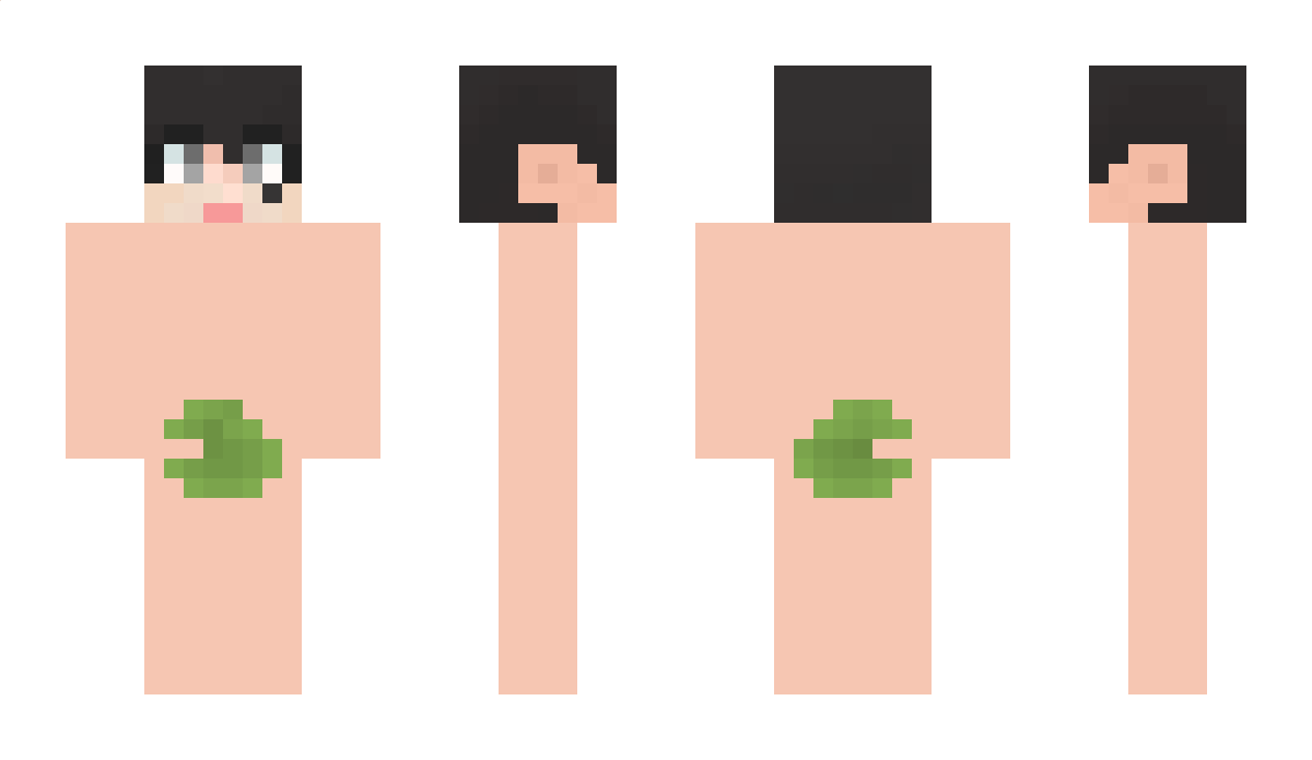 sldoql123 Minecraft Skin