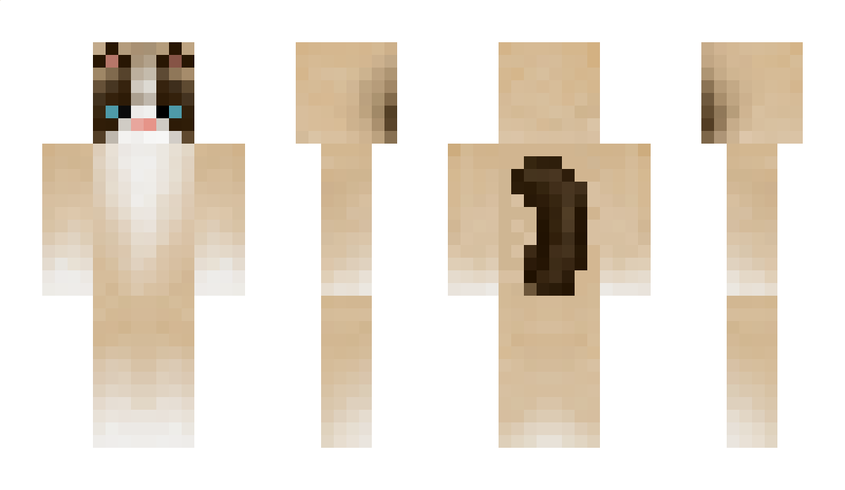 OnePunch1 Minecraft Skin