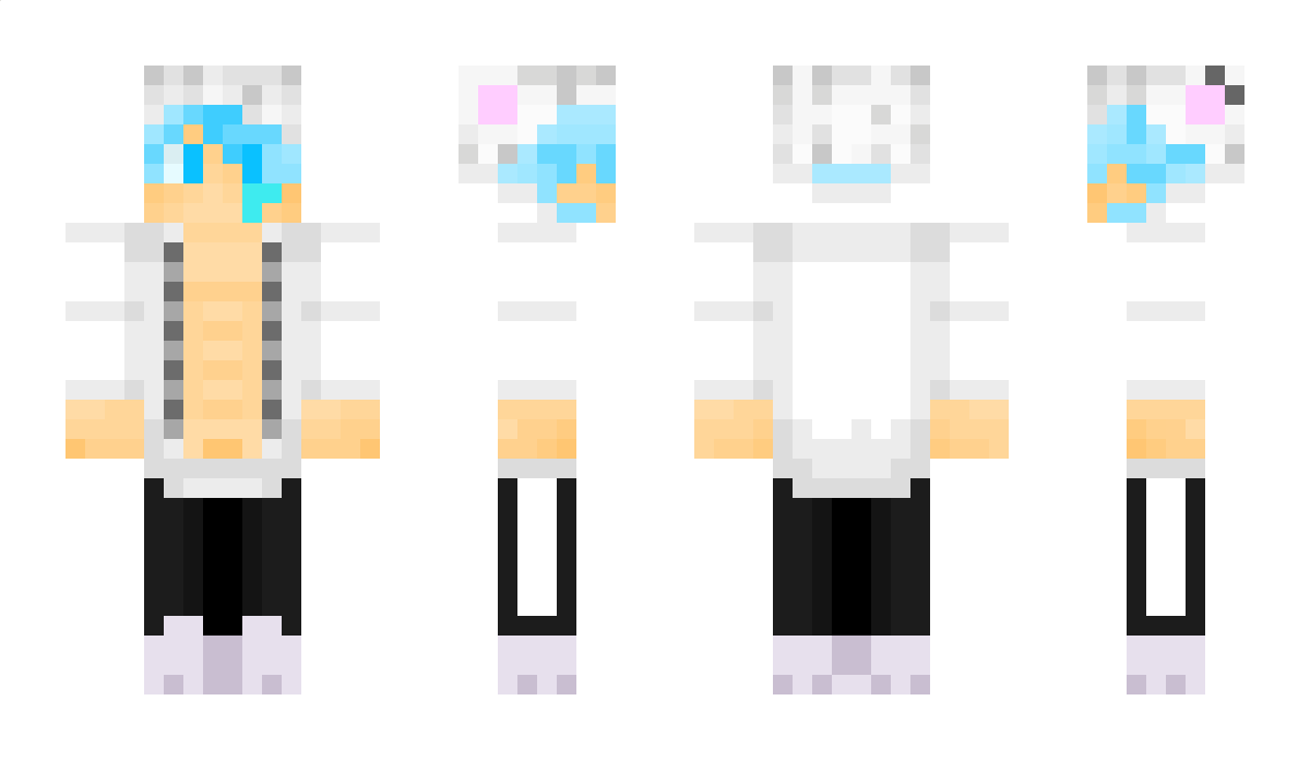 SnowHand Minecraft Skin