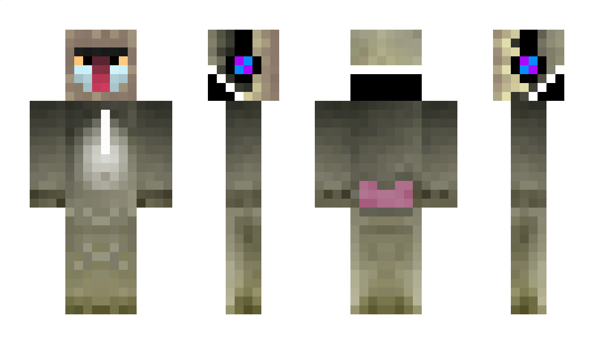 LeBabouin30 Minecraft Skin