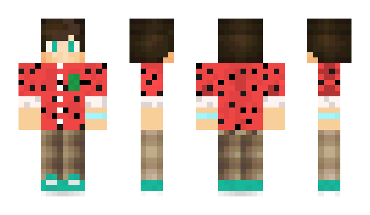 zorato_04 Minecraft Skin