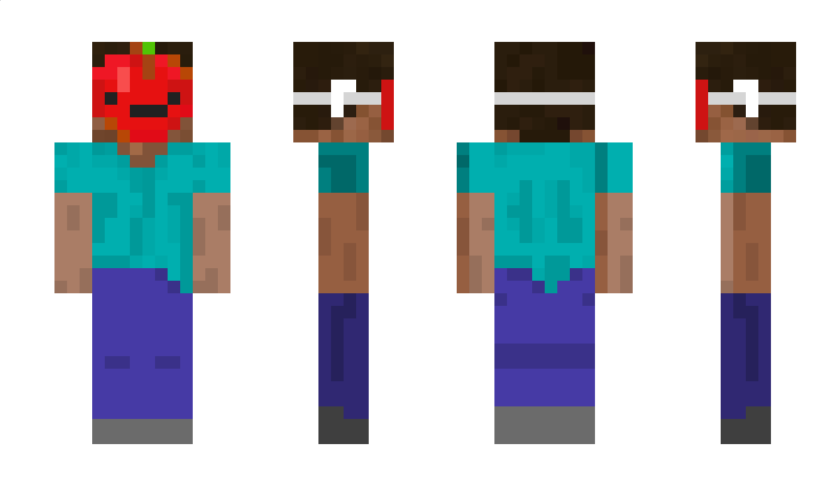 ApplyNow Minecraft Skin