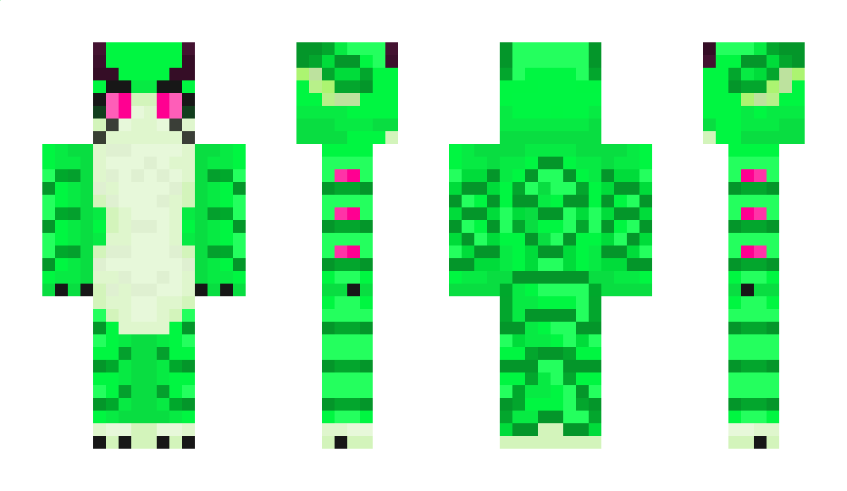 I0NSS Minecraft Skin