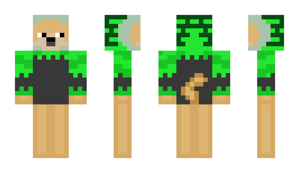 Mickxcat Minecraft Skin