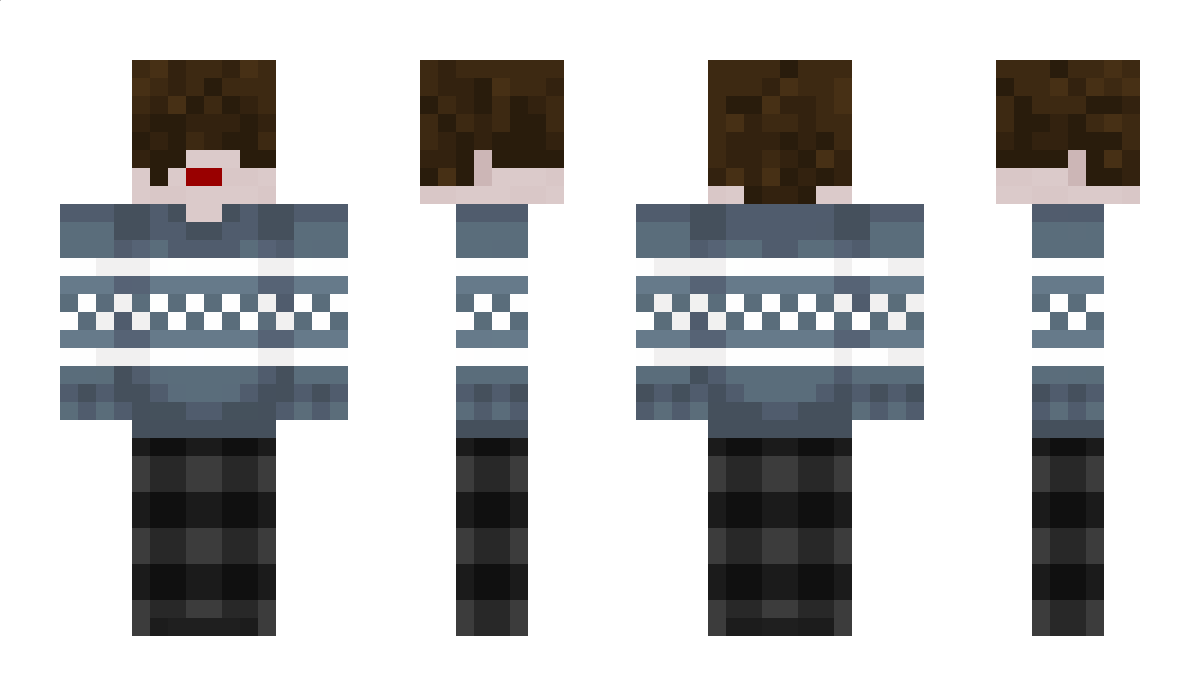 DmitryCraft2163 Minecraft Skin