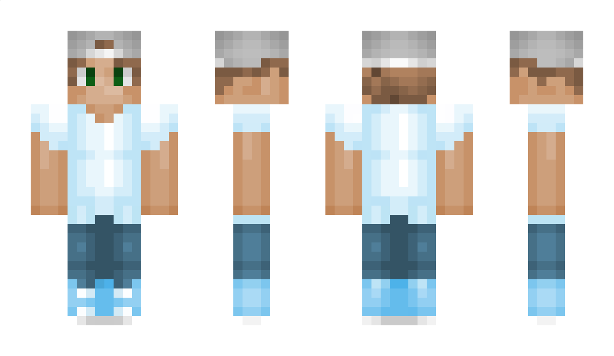 Hencool Minecraft Skin