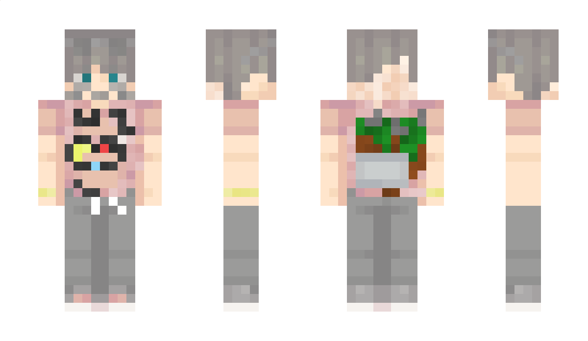 salisbr Minecraft Skin