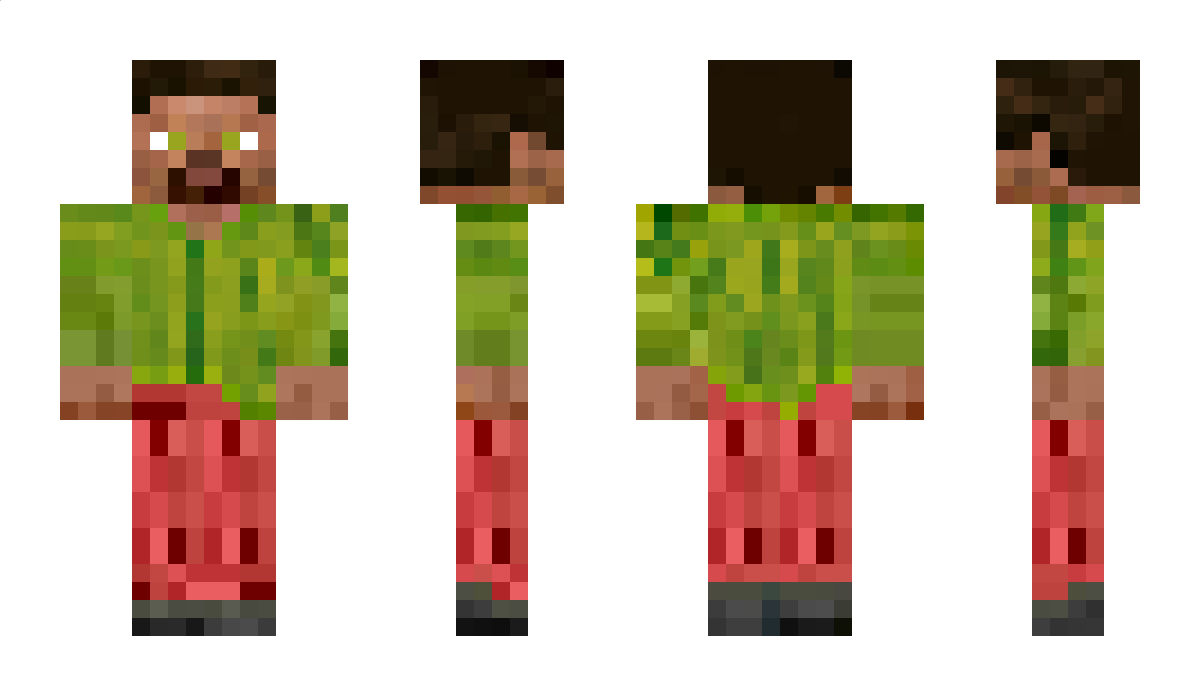 mr_soybeans Minecraft Skin