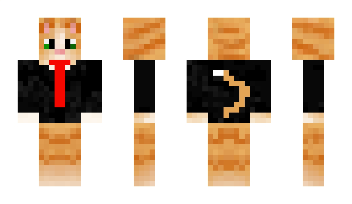 DantheCat Minecraft Skin