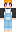 catday Minecraft Skin