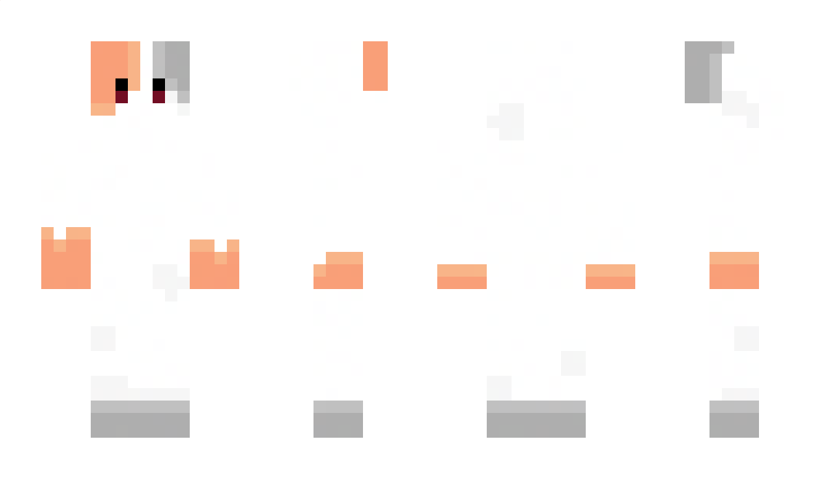 minebar Minecraft Skin