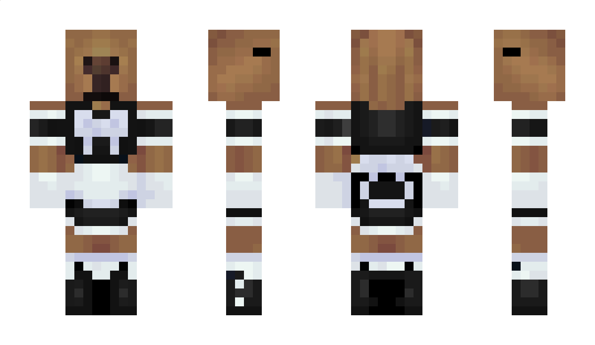 boris_de_cat Minecraft Skin