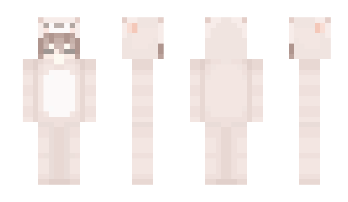 Last Minecraft Skin