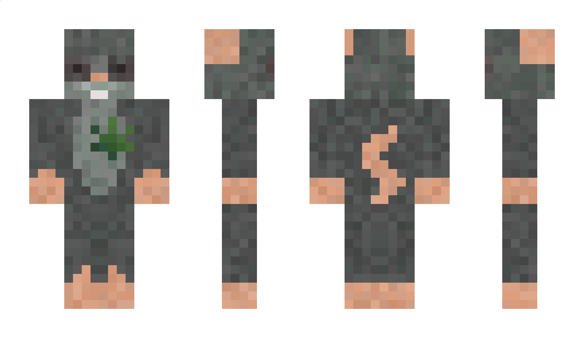 avatarsgay Minecraft Skin