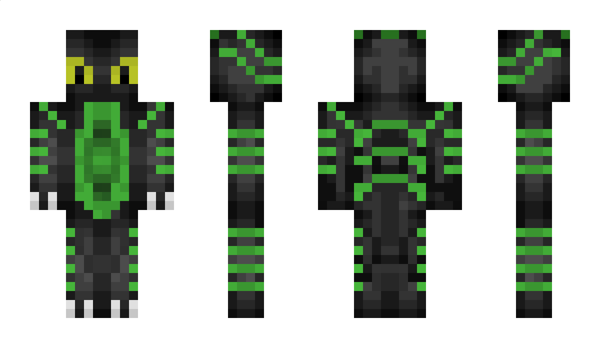 Skyshadow Minecraft Skin