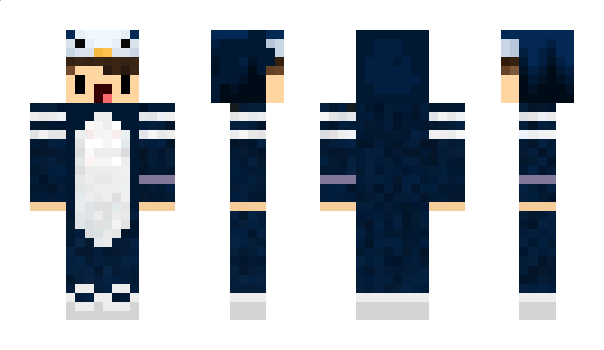 q5nx Minecraft Skin