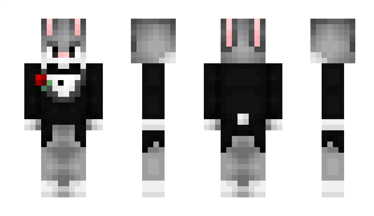 seekii Minecraft Skin