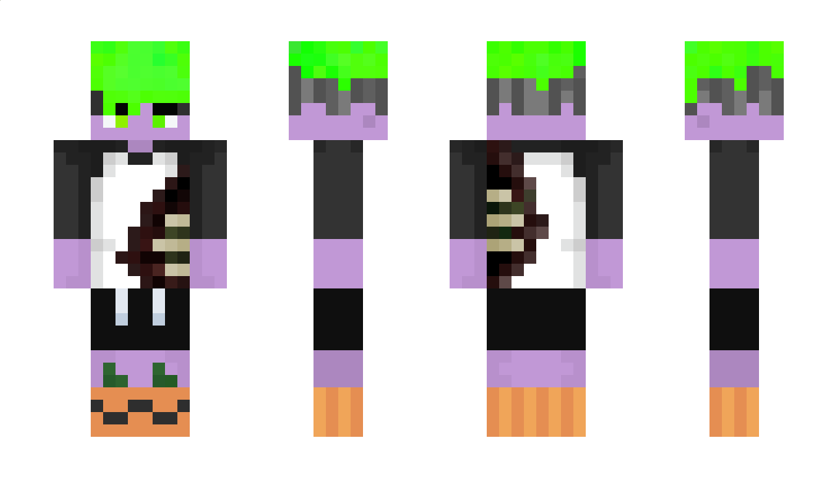 Ein_W1k1nger Minecraft Skin