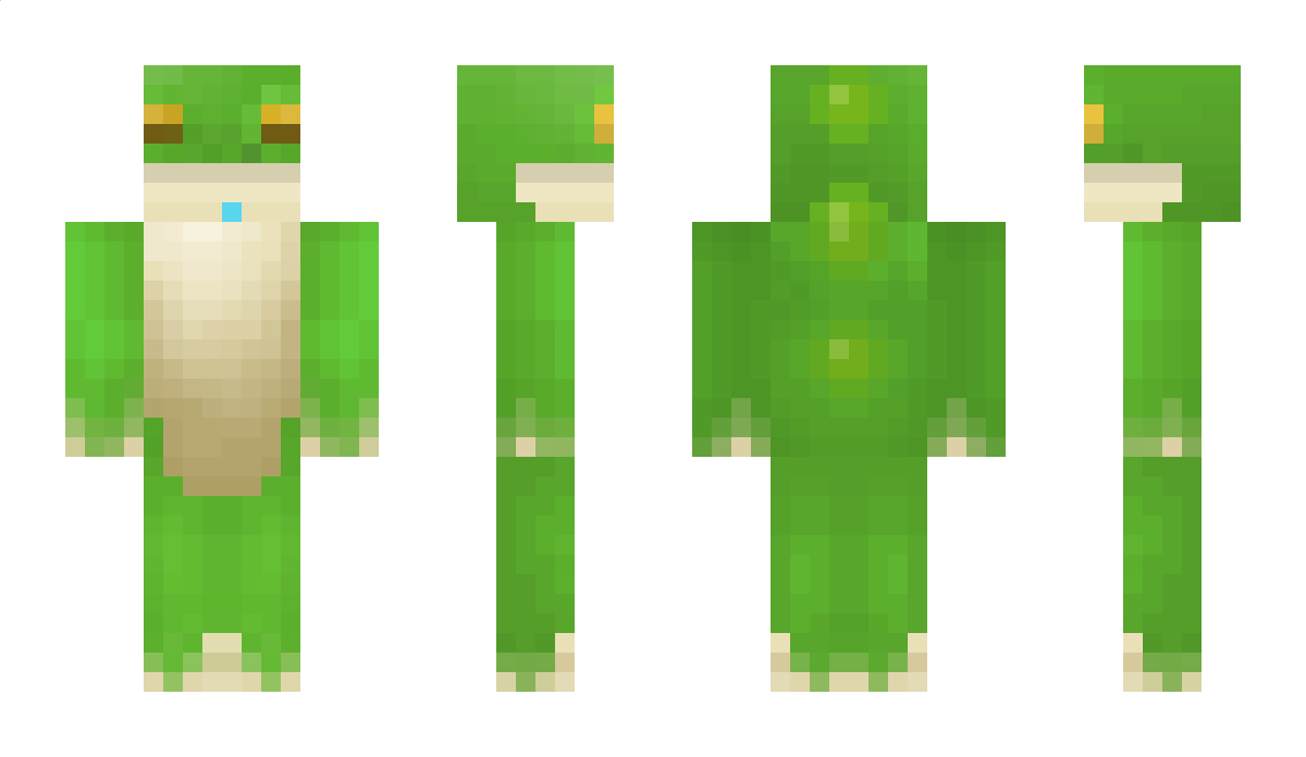 Baggybox Minecraft Skin