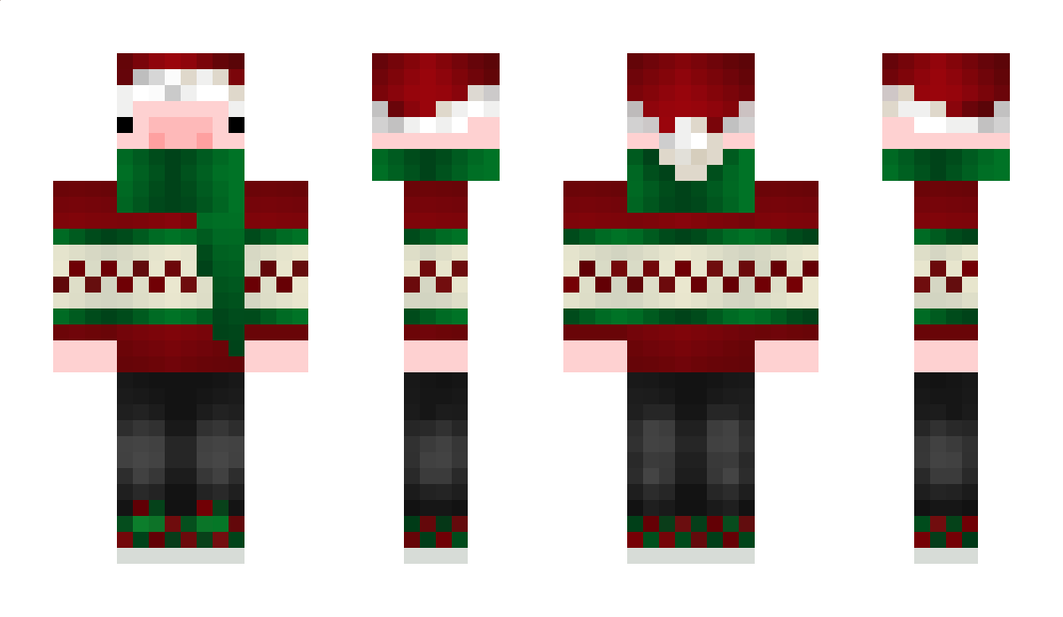 Nytrrixx Minecraft Skin