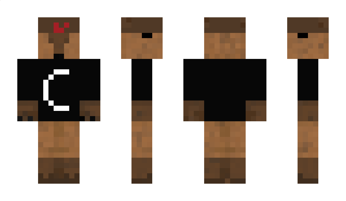 MMA_Capybara Minecraft Skin