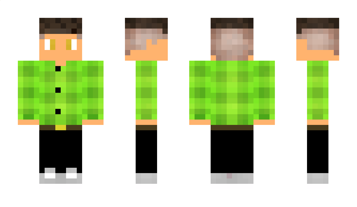 Parradix Minecraft Skin