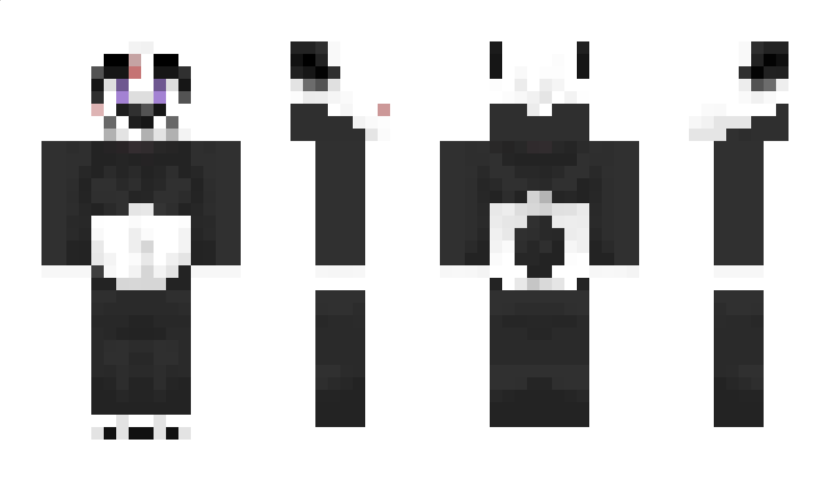 PandaPaladin Minecraft Skin