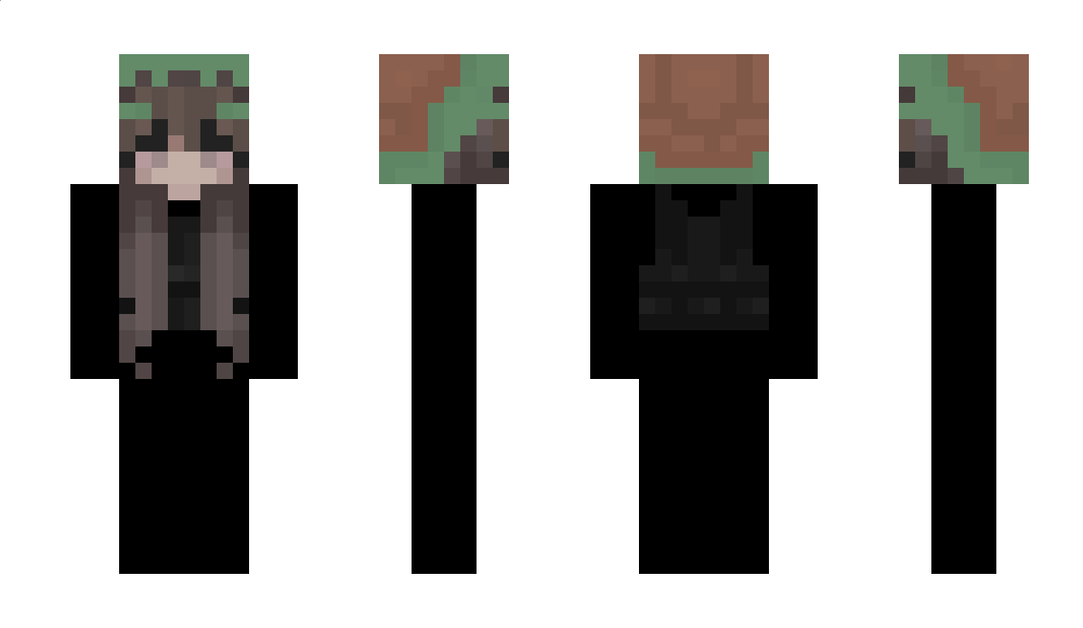 turtled Minecraft Skin