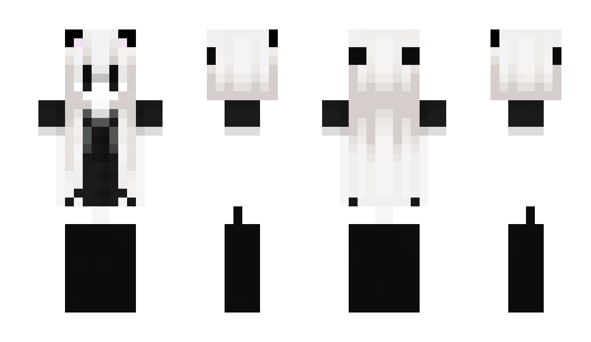 5AR4 Minecraft Skin