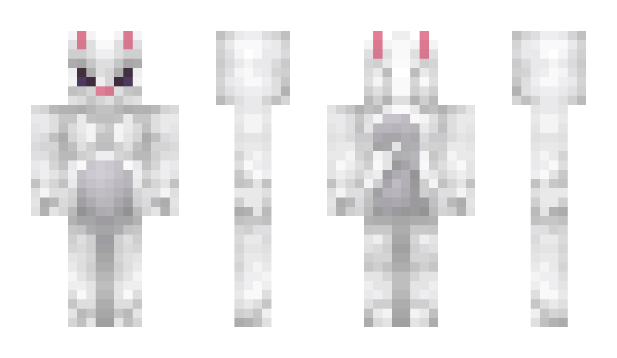 fib Minecraft Skin