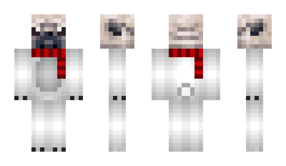 Pugnetic Minecraft Skin