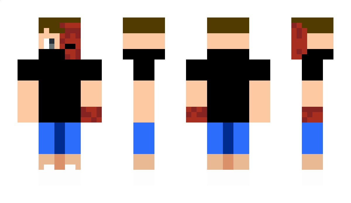 LiPor Minecraft Skin