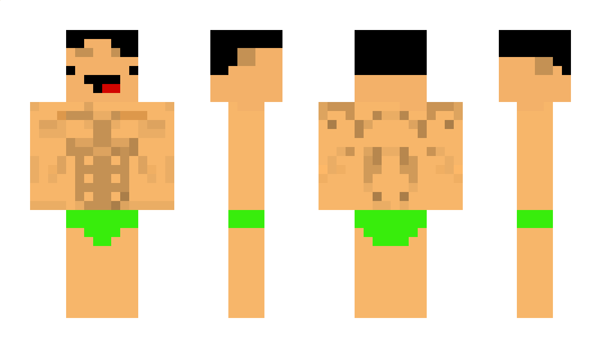 Brevis Minecraft Skin