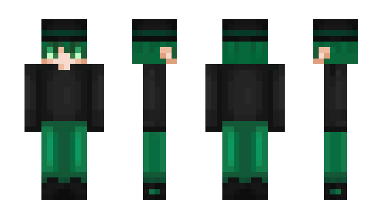 calledDrache Minecraft Skin