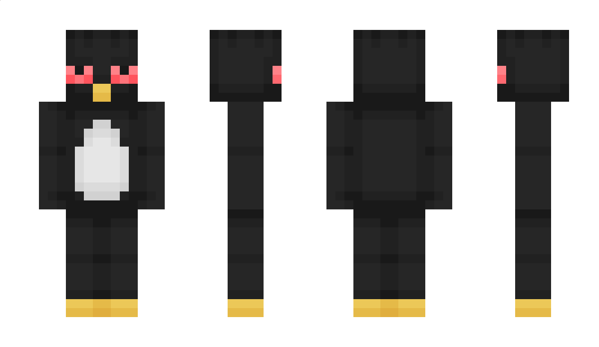 Aerovanero Minecraft Skin