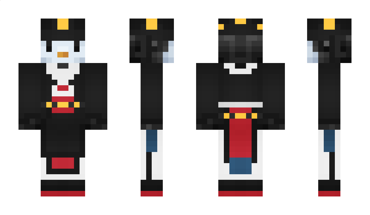 Nice_pengguin Minecraft Skin