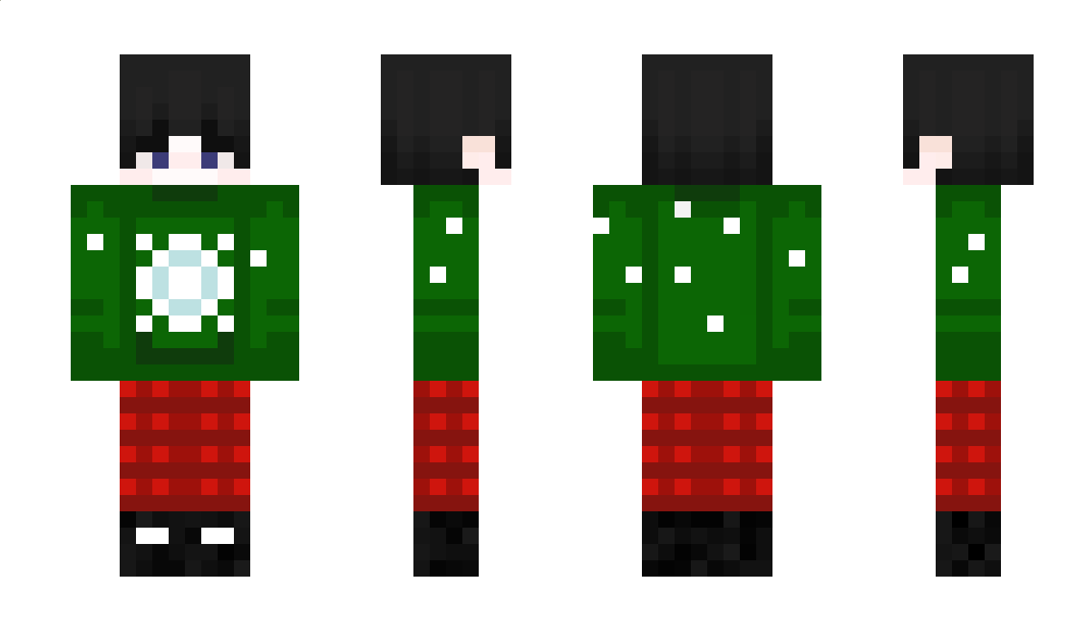 TheMineturtle_ Minecraft Skin